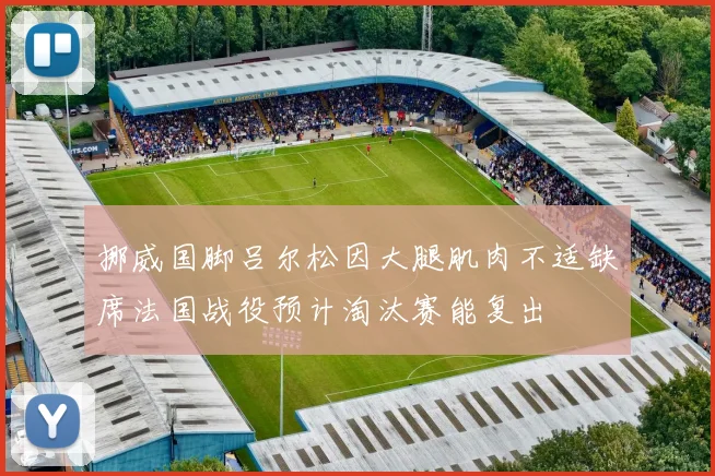挪威国脚吕尔松因大腿肌肉不适缺席法国战役预计淘汰赛能复出