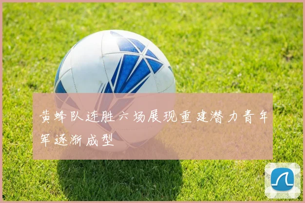 黄蜂队连胜六场展现重建潜力青年军逐渐成型